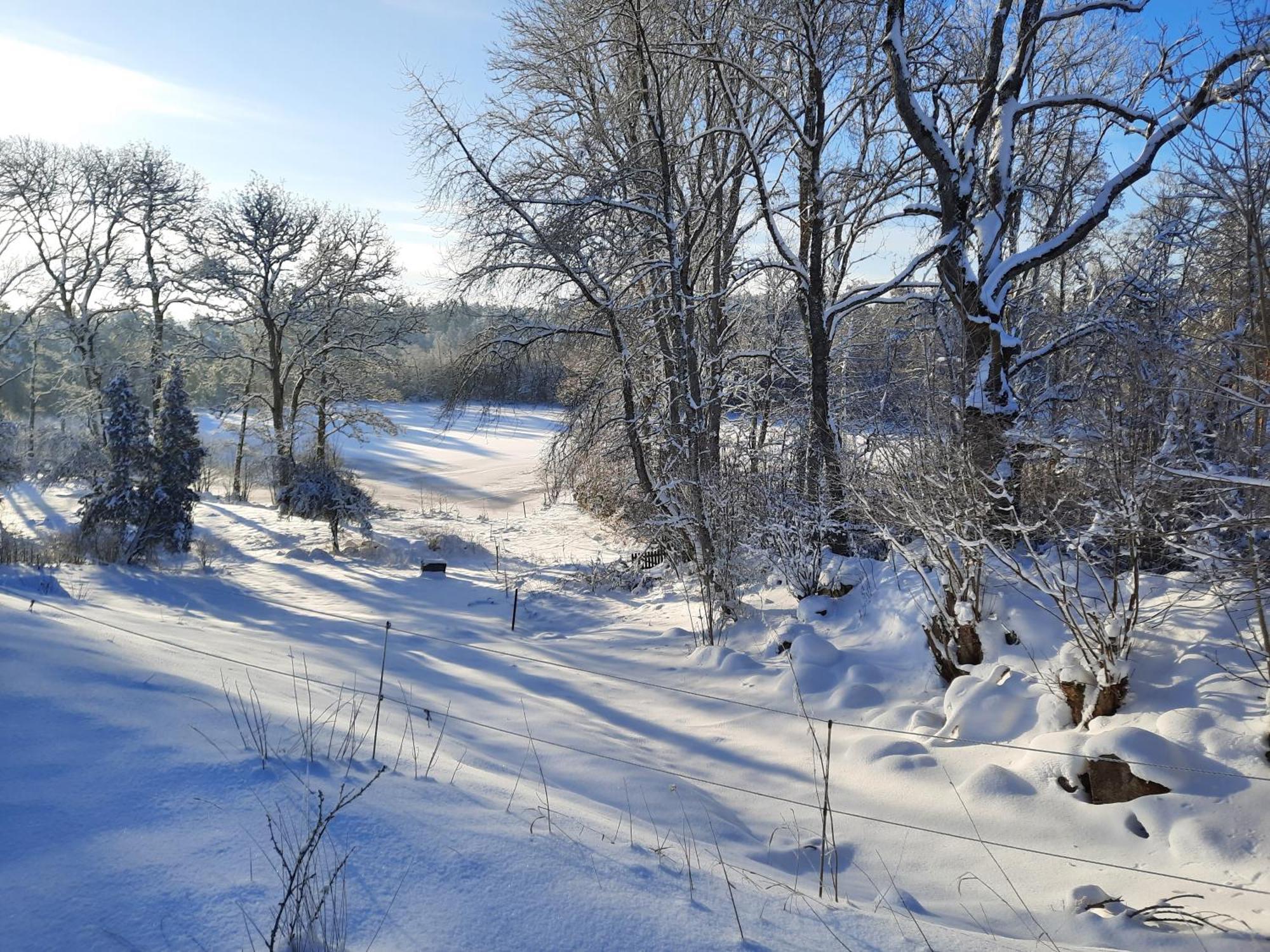 Sjoetorps Saeteris Bed & Breakfast Flygeln Larv Exterior foto